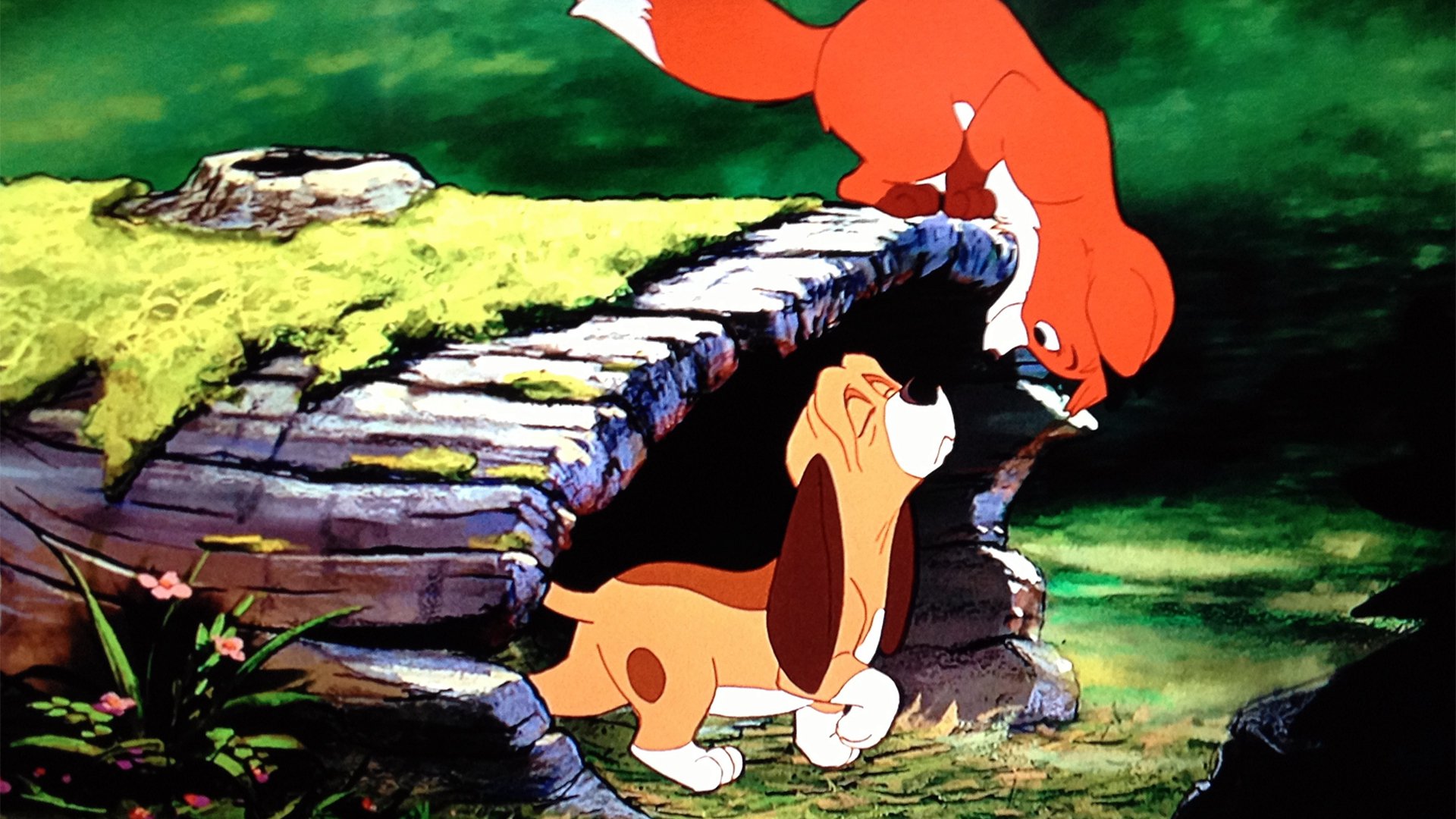 The Fox and the Hound backdrop