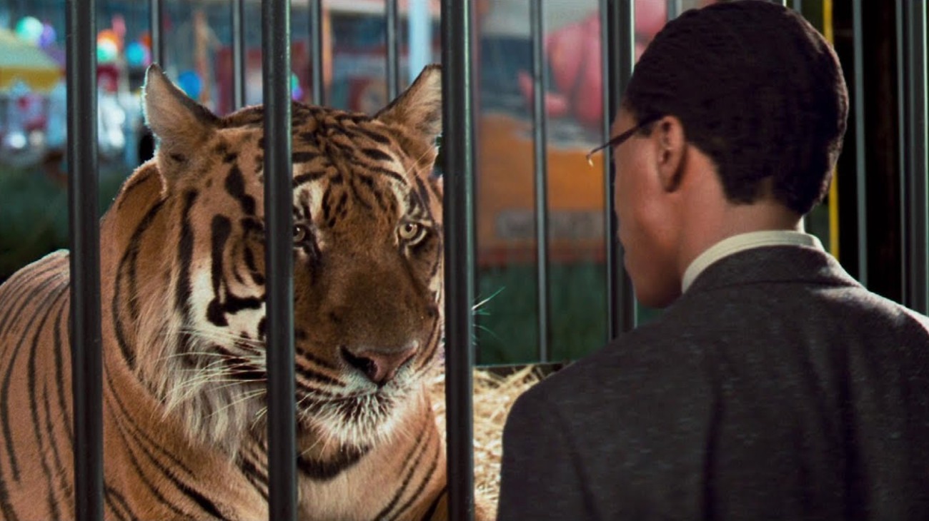 Dr. Dolittle (1998) - Movie Review : Alternate Ending Dr. Dolittle (1998) - Movie Review : Alternate Ending
