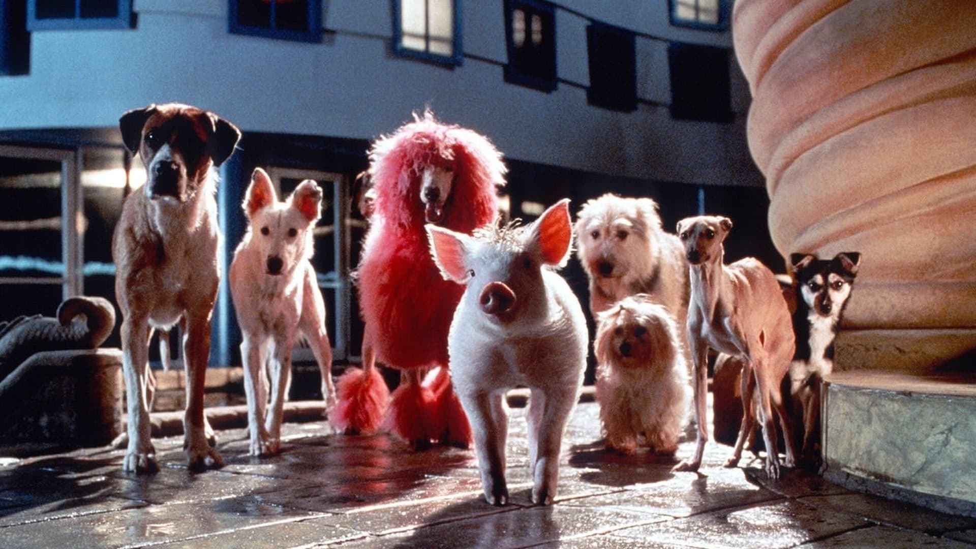 Babe: Pig in the City (1998) - Movie Review : Alternate Ending