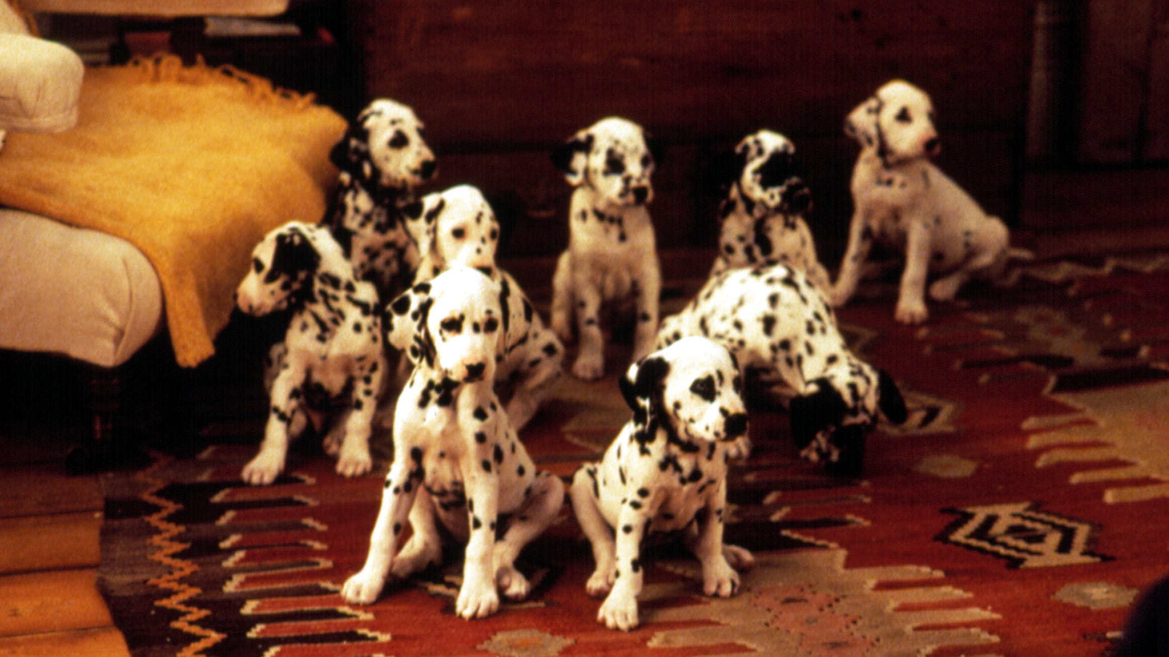 101 Dalmatians backdrop