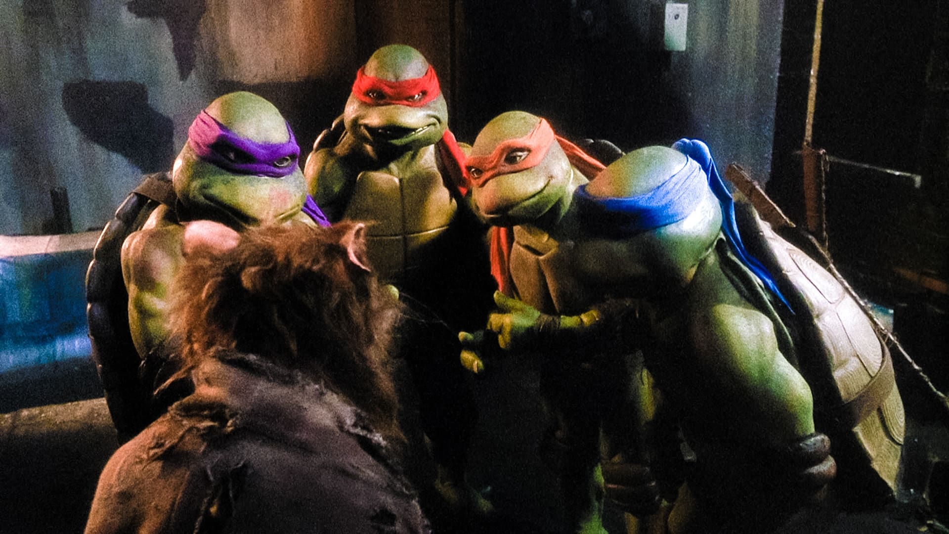 The Tragic Effect That Teenage Mutant Ninja Turtles Had On Real Turtles
