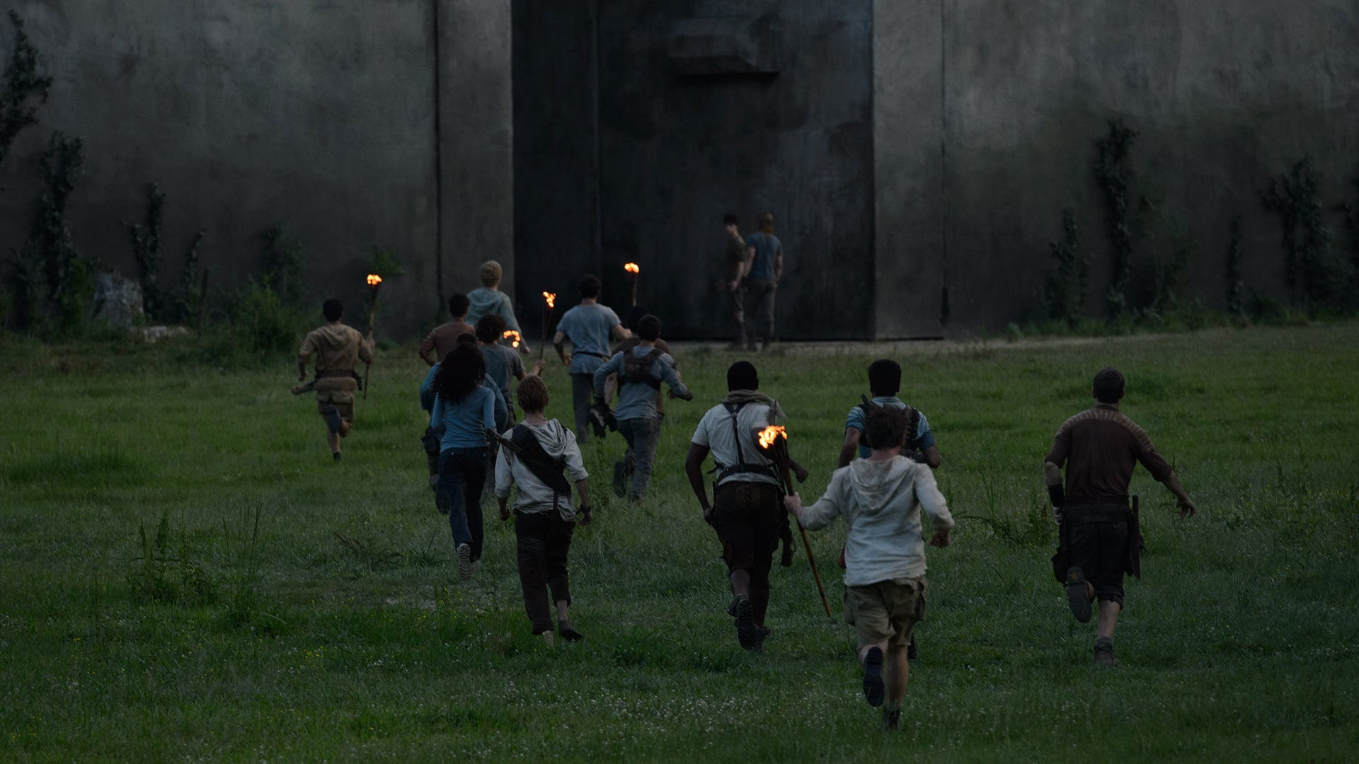 The Maze Runner backdrop