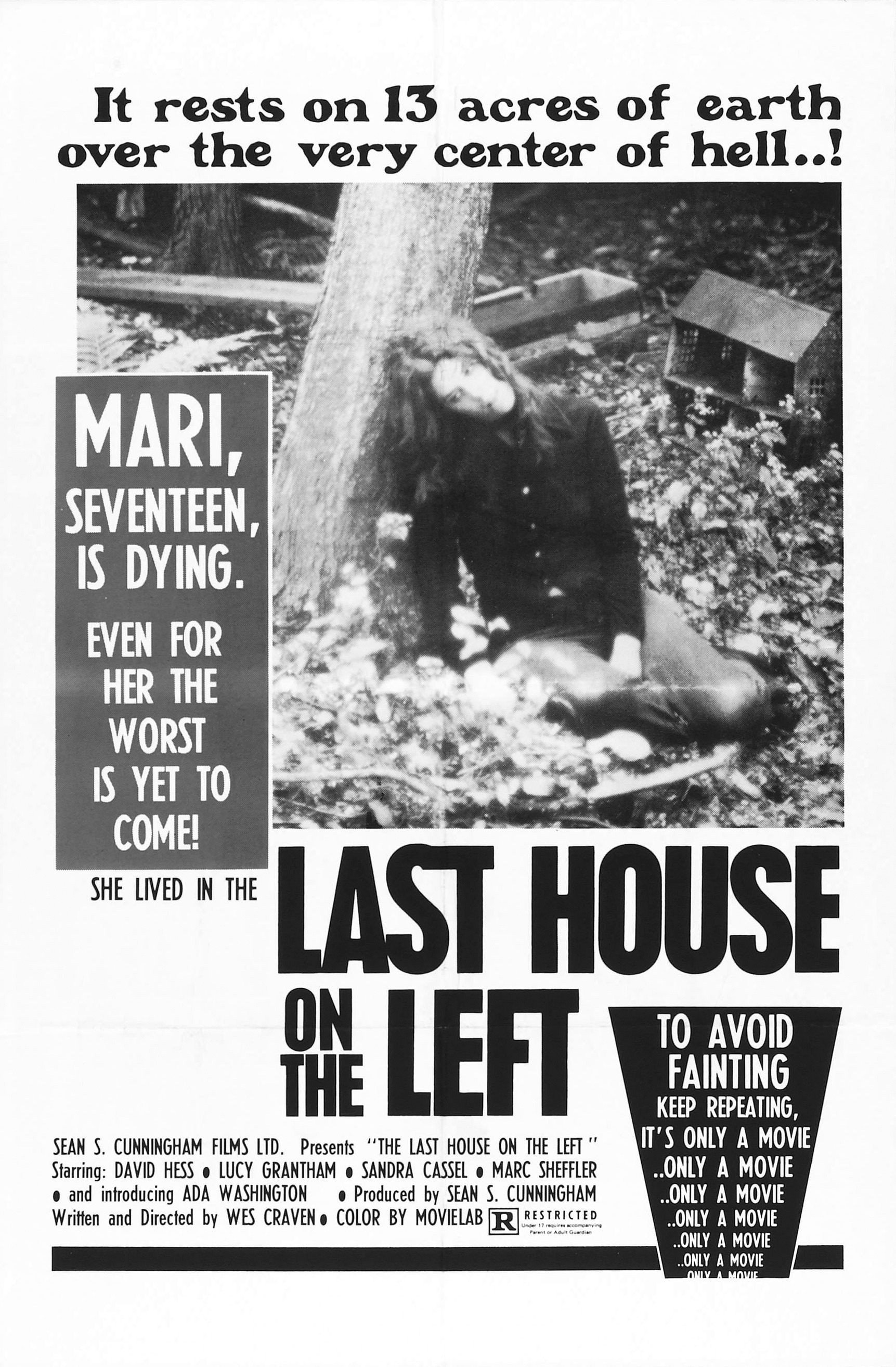 The Last House on the Left poster