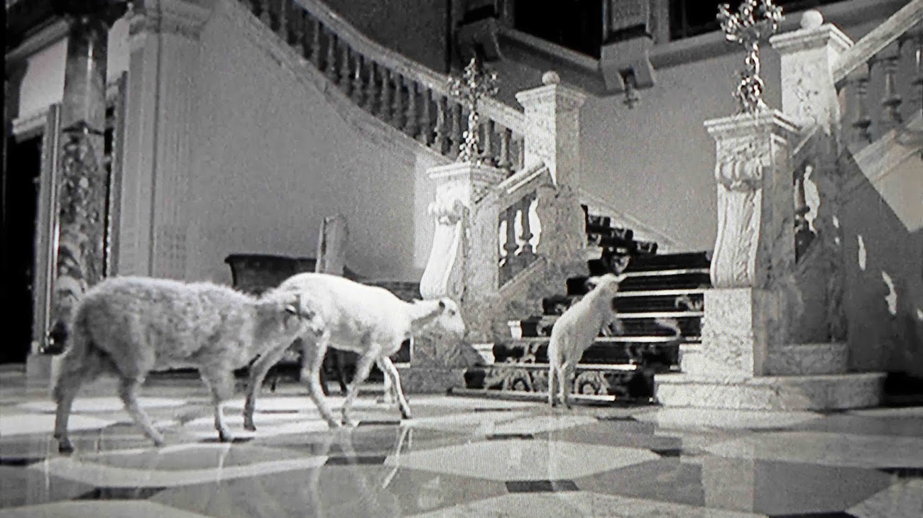 Luis Bunuel Dinner Party Film - Luis Bunuel Movies Unfashionably Subversive Challenging Classics : In another scene a man kicks a violin down the street and when the film moves into a lavish dinner party, animals walk around the lush mansion unnoticed, servants are killed by flames but the.