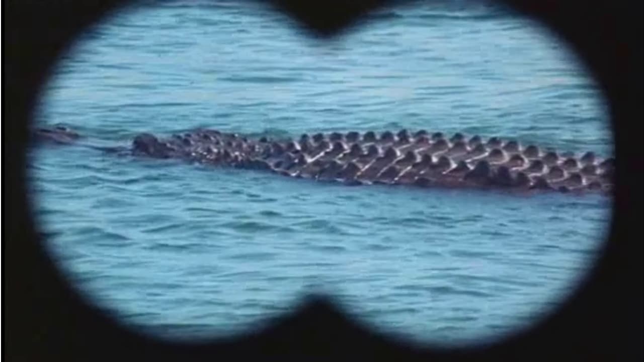 Alligator backdrop