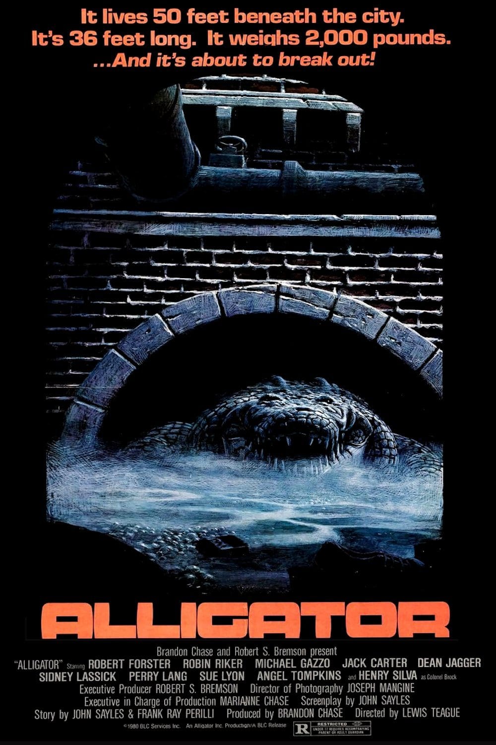 Alligator poster