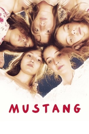 Mustang poster