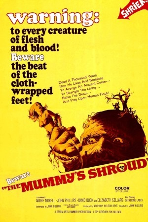 The Mummy's Shroud poster