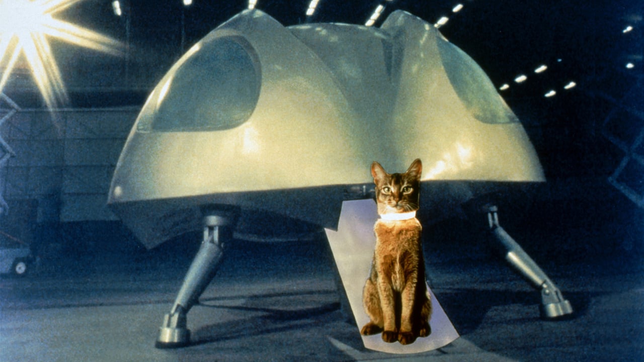 The Cat From Outer Space backdrop