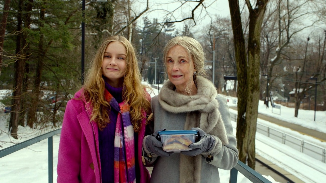the visit 2015 movie review