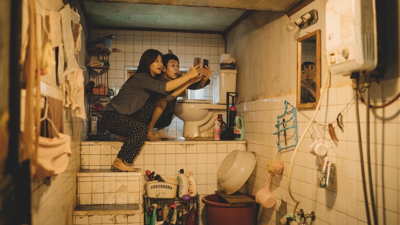 34 HQ Photos The Donor Movie 2019 : The Wall of Mexico (2019) Full Movie Eng Sub - 123Movies