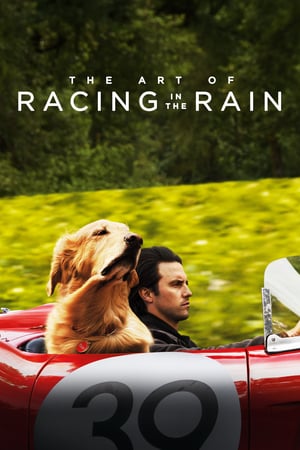The Art of Racing in the Rain poster
