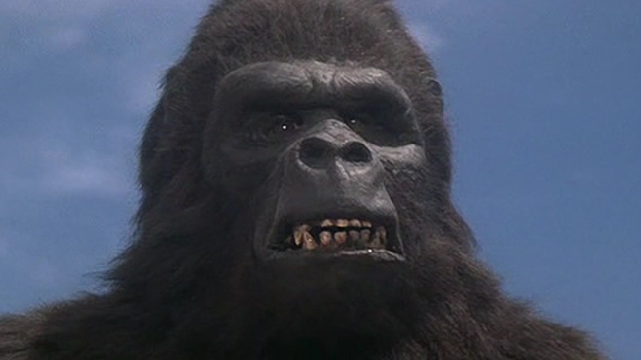 King Kong Lives backdrop