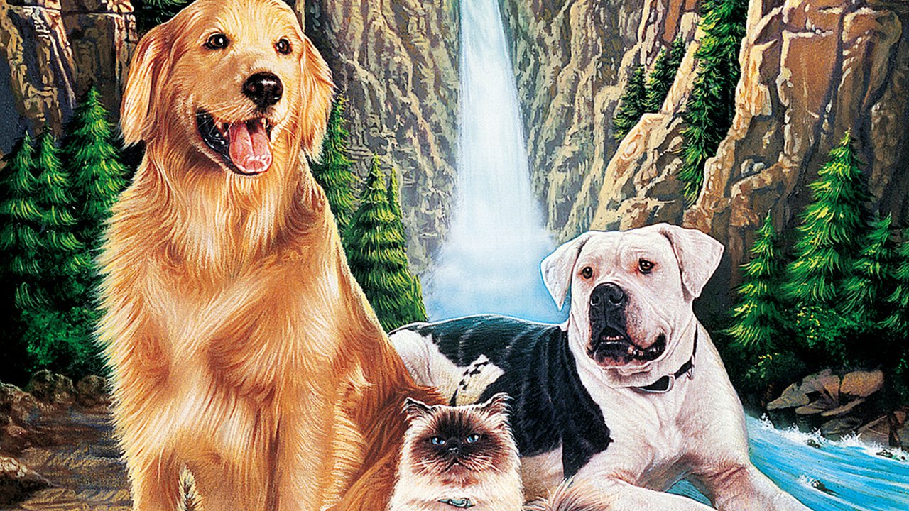 Homeward Bound: The Incredible Journey backdrop