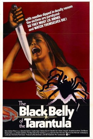 The Black Belly of the Tarantula poster