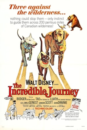 The Incredible Journey poster