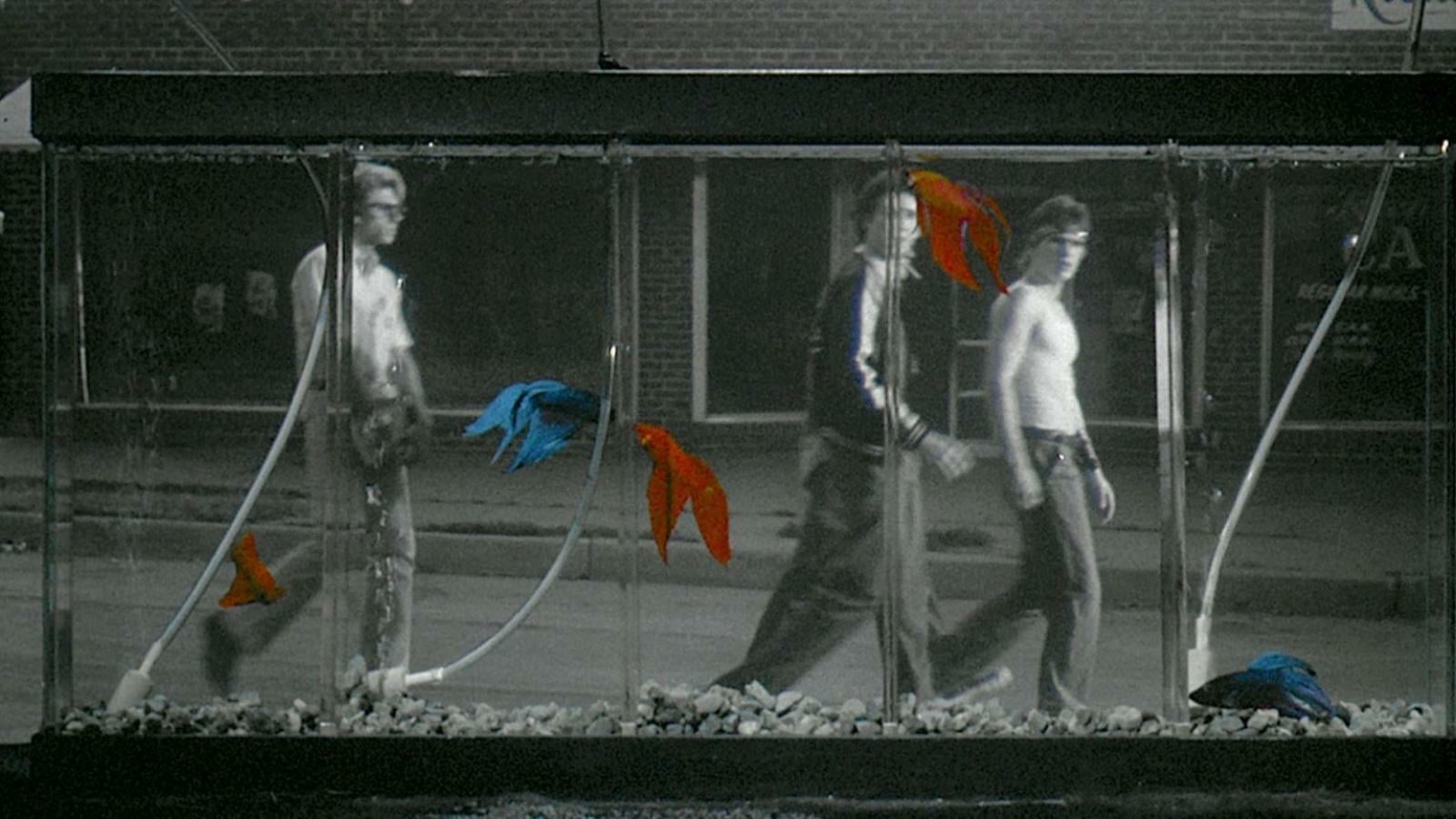 Rumble Fish backdrop