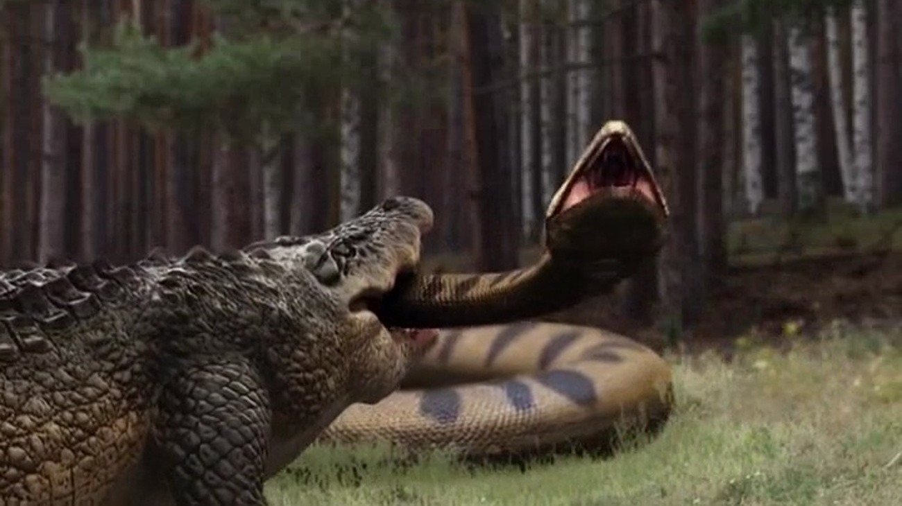 Lake Placid vs. Anaconda backdrop