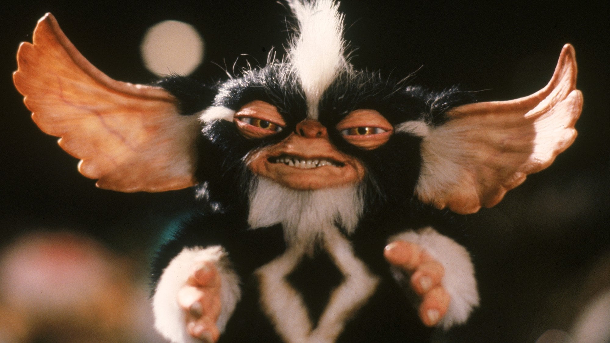 Gremlins 2: The New Batch backdrop