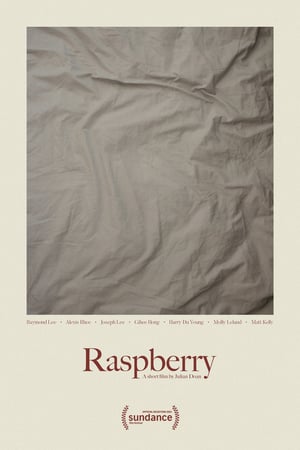 Raspberry poster